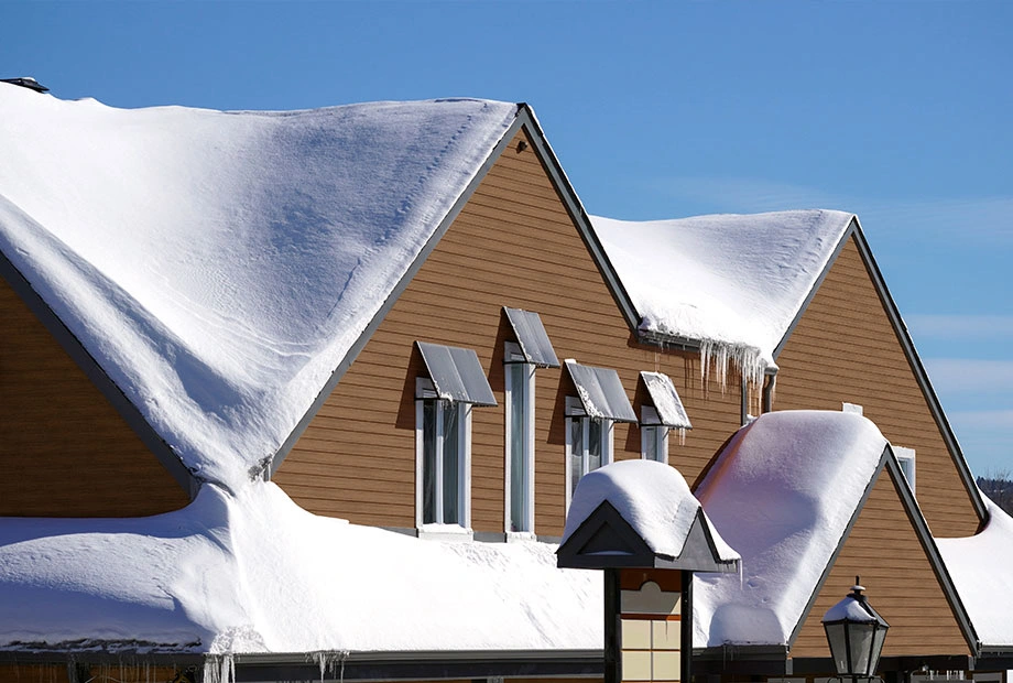 WPC Co-extruded Cladding (Co Extrusion Cladding) WPC Co-extruded Cladding (Co Extrusion Cladding)