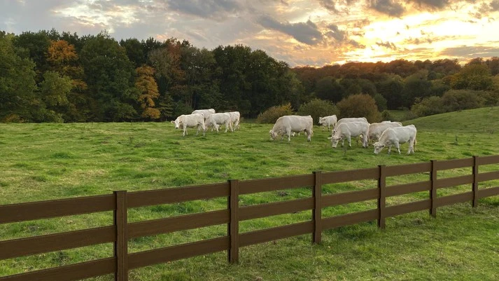 WPC Ranch Railings (composite ranch rail fencing) WPC Ranch Railings (composite ranch rail fencing)