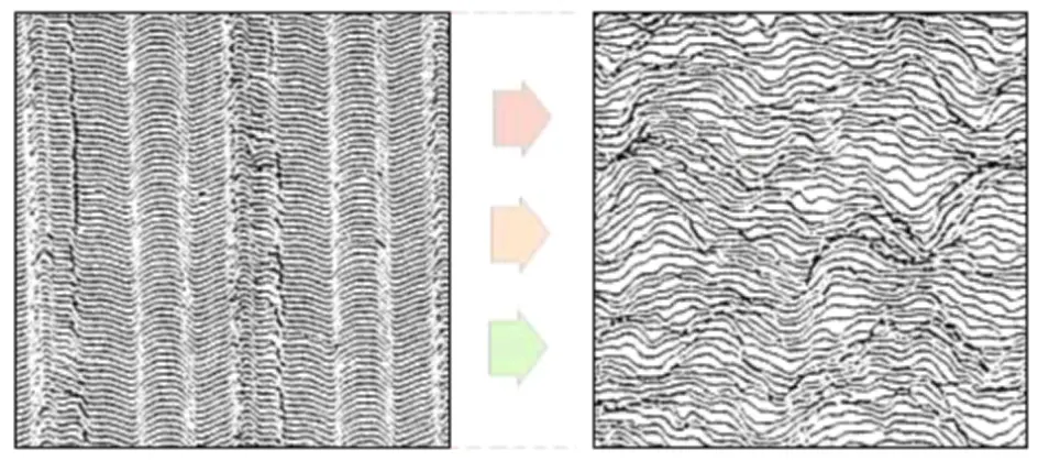 news-944-419 news-944-419