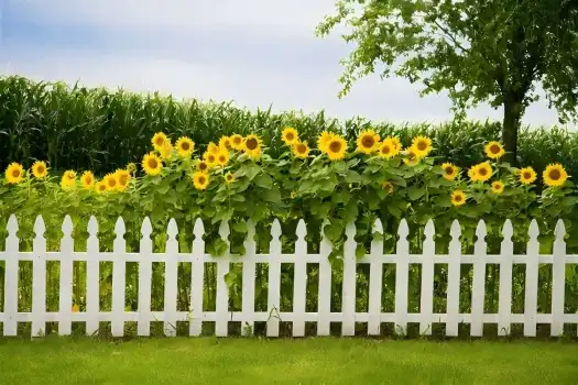 PVC Fencing vs Wood Fencing: Which One Lasts Longer?