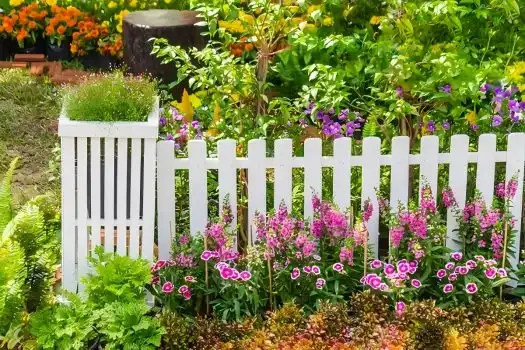 Why PVC Fencing Is the Best Choice for Your Outdoor Space?